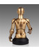 Star Wars - McQuarrie Concept C-3PO Bust (SDCC 2013 Exclusive)