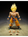Dragon Ball - Super Saiyan Son Goku Legendary Super Saiyan (Best Selection) - S.H. Figuarts