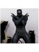 Marvel Collection - Black Panther (Marvel Knights #4) - 1/10
