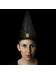 Harry Potter - Student Hat Gryffindor