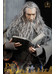 Lord of the Rings - Gandalf Action Figure - 1/6