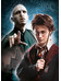 Harry Potter - 3-Pack Puzzles (Characters)