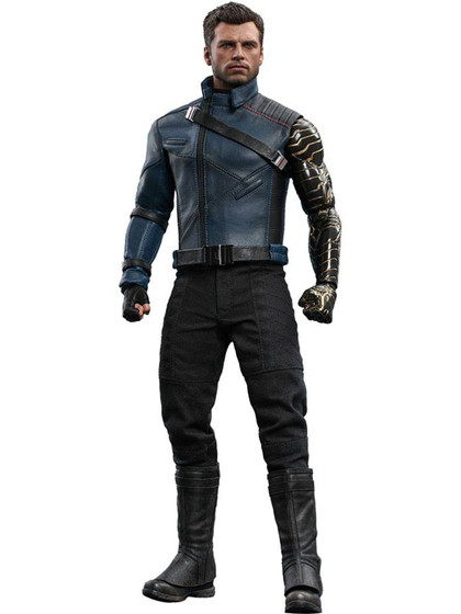 The Falcon and the Winter Soldier - Winter Soldier TMS - 1/6