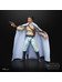 Star Wars Black Series - General Lando Calrissian