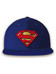 DC Comics - Superman Logo Snapback Cap