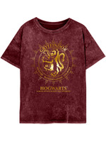 Harry Potter - Gryffindor Constellations Womens Acid Wash T-Shirt