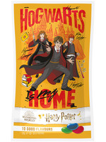 Harry Potter - 10 Good Flavours Jelly Beans - 28 g