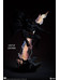 DC Comics - Batman: The Dark Knight Returns Premium Format