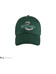 Harry Potter - Slytherin Curved Bill Cap