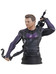 Hawkeye - Hawkeye Bust - 1/6