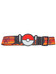 Pokémon Clip'n'Go: Poké Ball Belt Set - Poké Ball, Luxury Ball & Charmander