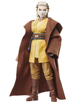 Star Wars Black Series: The Acolyte - Padawan Jecki Lon