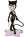 Vinyl Vixens - DC Comics Catwoman