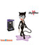 Vinyl Vixens - DC Comics Catwoman