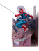 Marvel Collection - Spider-Man (The Amazing Spiderman #1) - 1/10