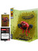 Marvel Collection - Spider-Man (Spider-Man # 1) (Gold Edition) (Gold Label) - 1/6